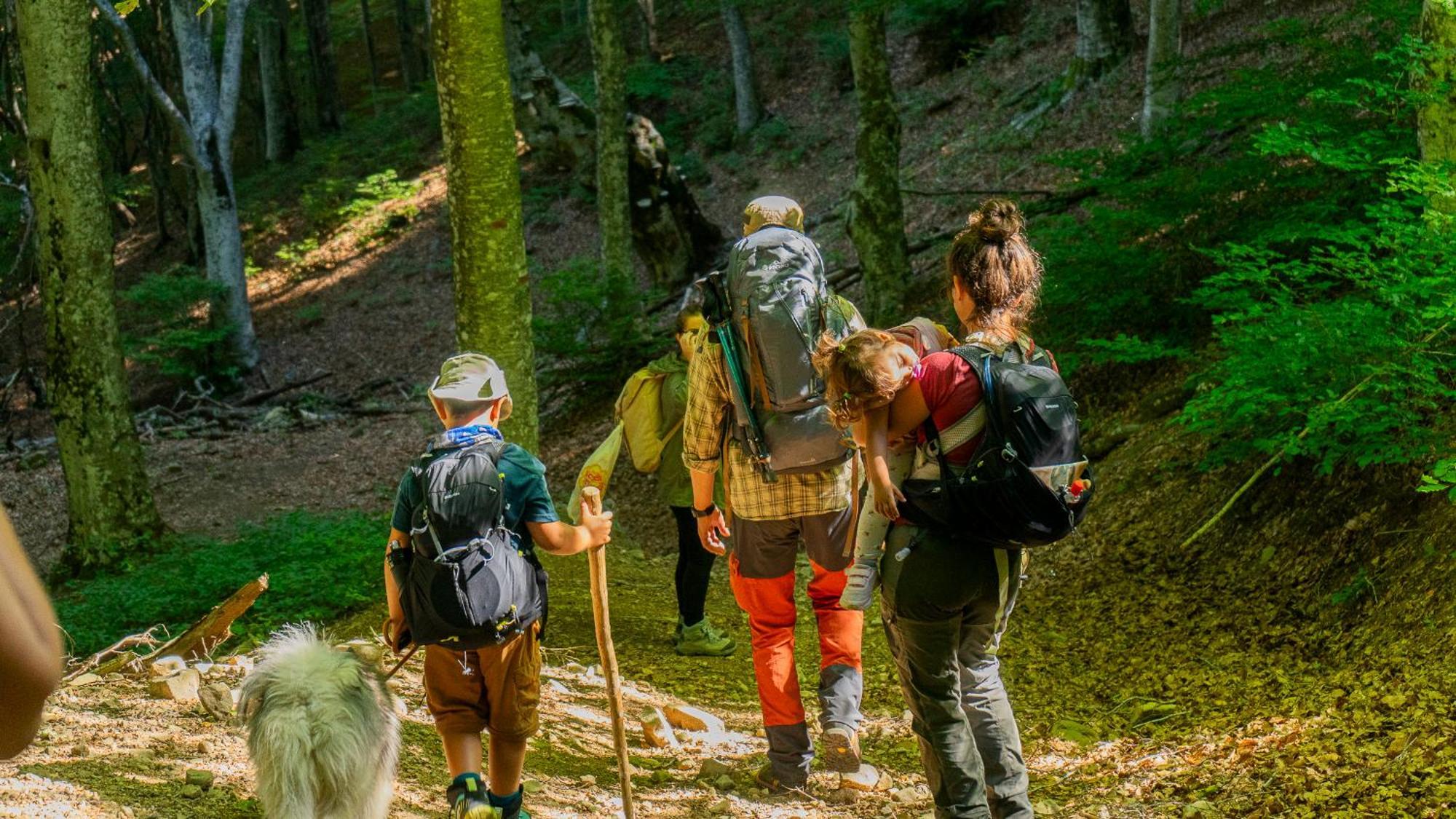 Agriturismo Le Ceregne Bio بييفي سانتو ستيفانو المظهر الخارجي الصورة