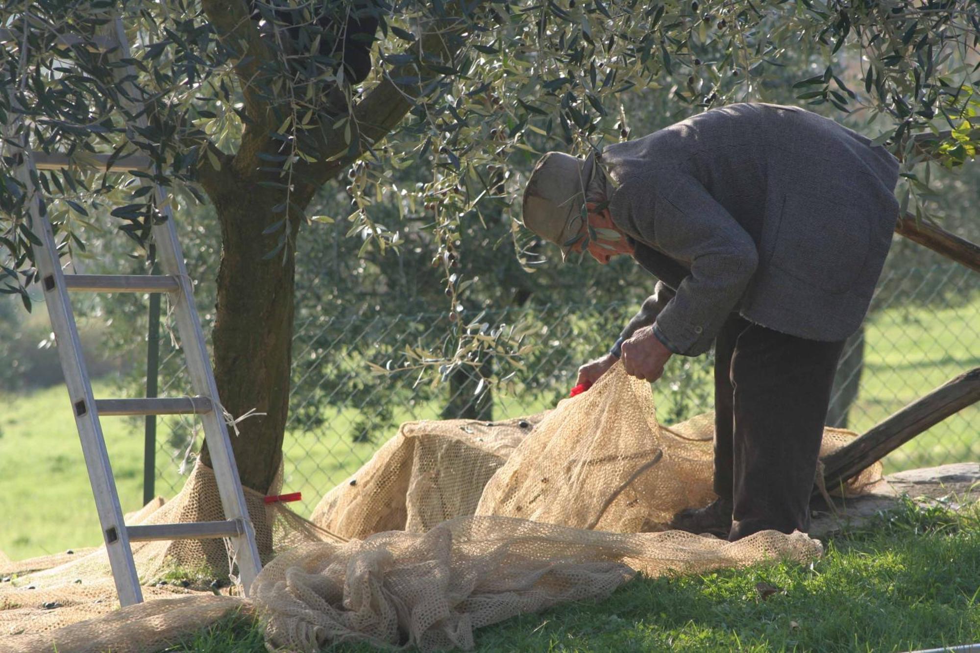 Agriturismo Le Ceregne Bio بييفي سانتو ستيفانو المظهر الخارجي الصورة